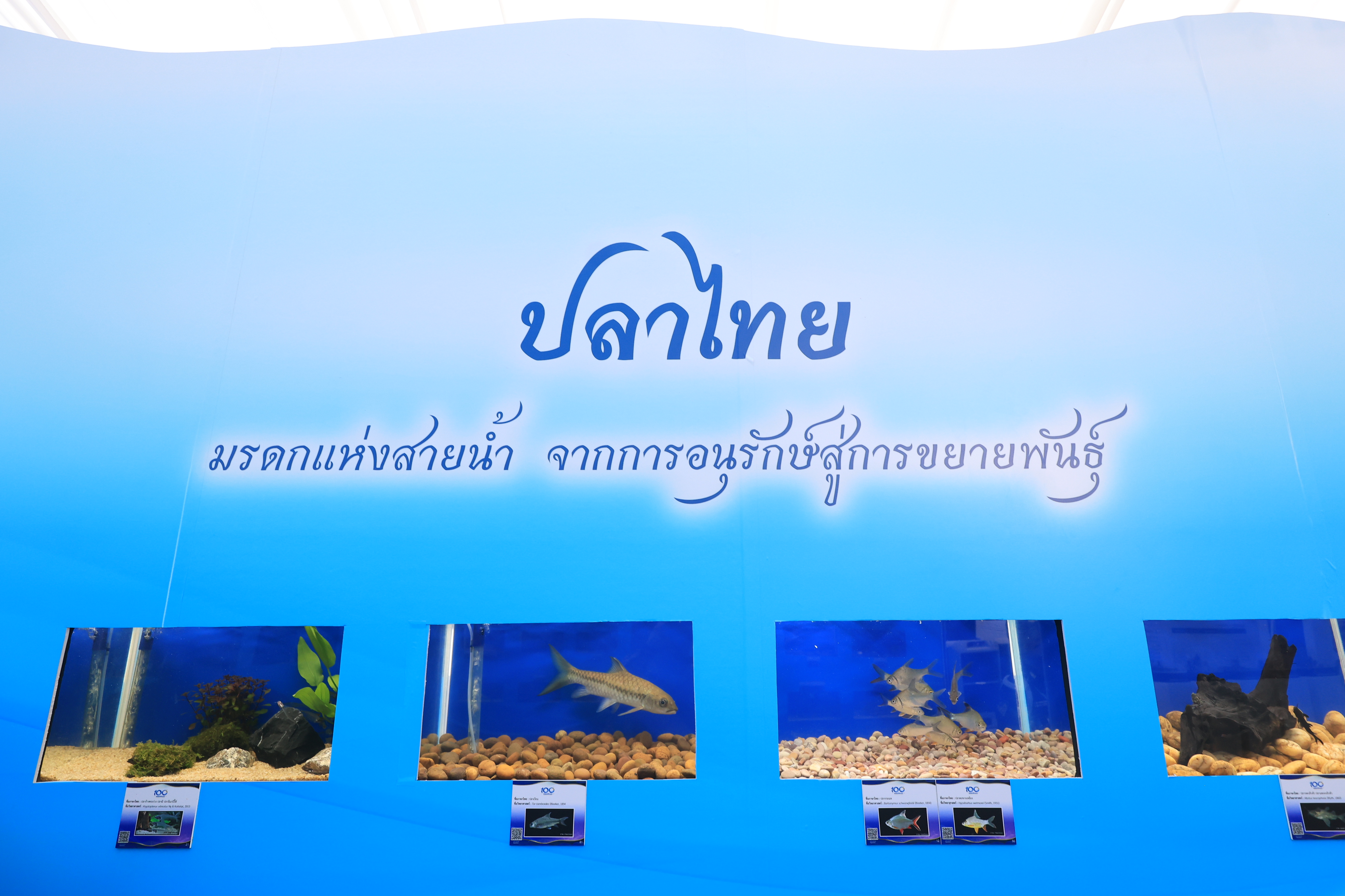 title - สำนักงานการปฏิรูปที่ดินเพื่อเกษตรกรรม ร่วมเฝ้าฯ รับเสด็จ สมเด็จพระกนิษฐาธิราชเจ้า กรมสมเด็จพระเทพรัตนราชสุดาฯ สยามบรมราชกุมารี เสด็จเป็นองค์ประธานเปิดงาน “วันสถาปนากรมประมง ครบรอบ 100 ปี”